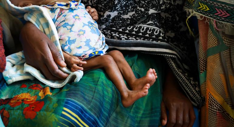 Éthiopie : une grave crise de la faim resserre l’étau autour des régions d’Amhara, Afar et Tigré 